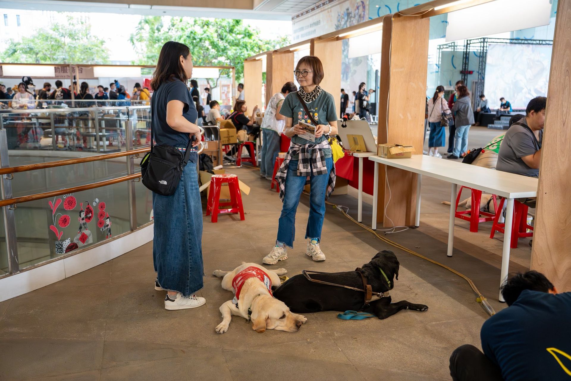 兩名工作人員在市集走道交談,黃色與黑色導盲犬趴臥在她們腳邊休息