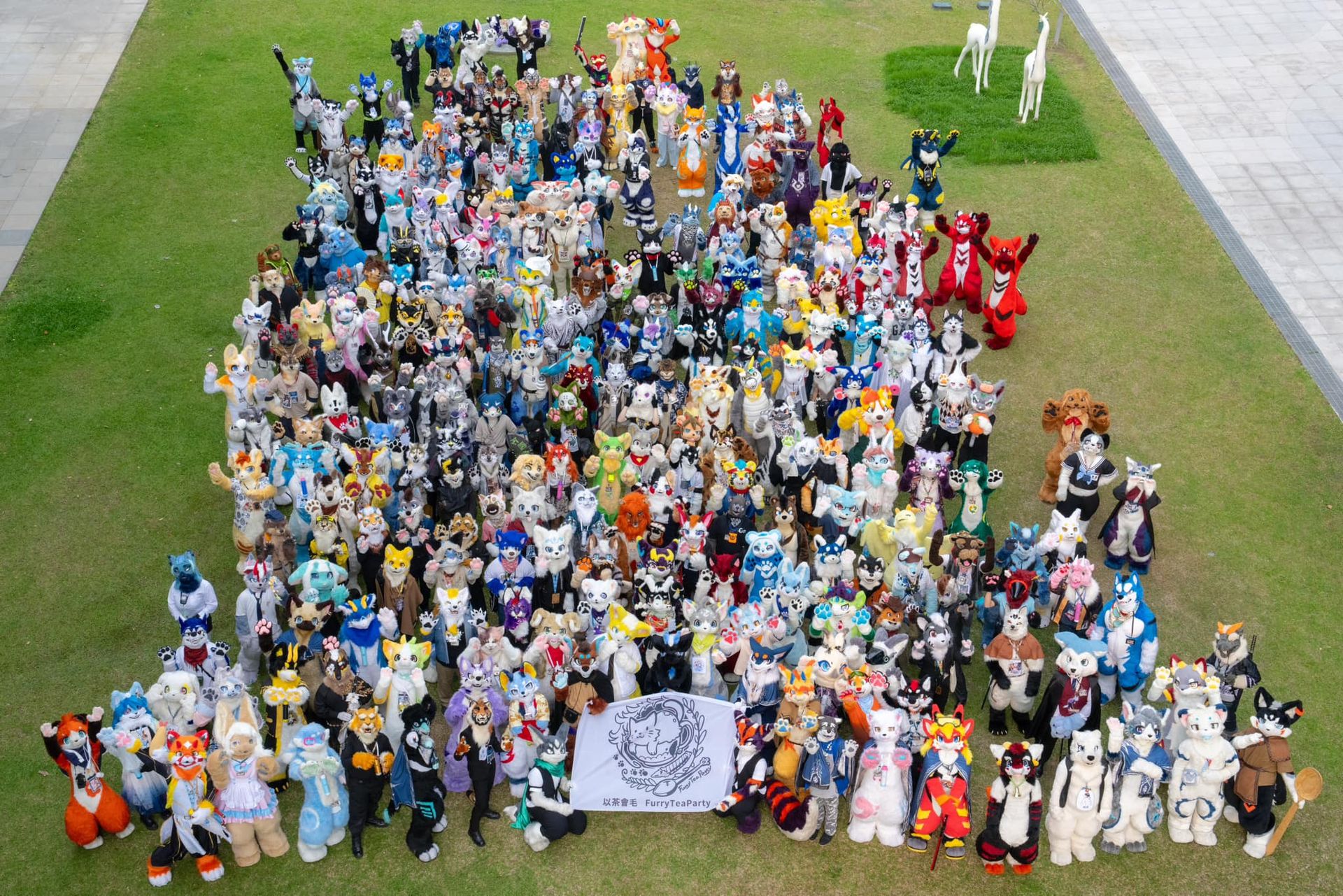 Tale of The Adventurer Group Photo Photo 1