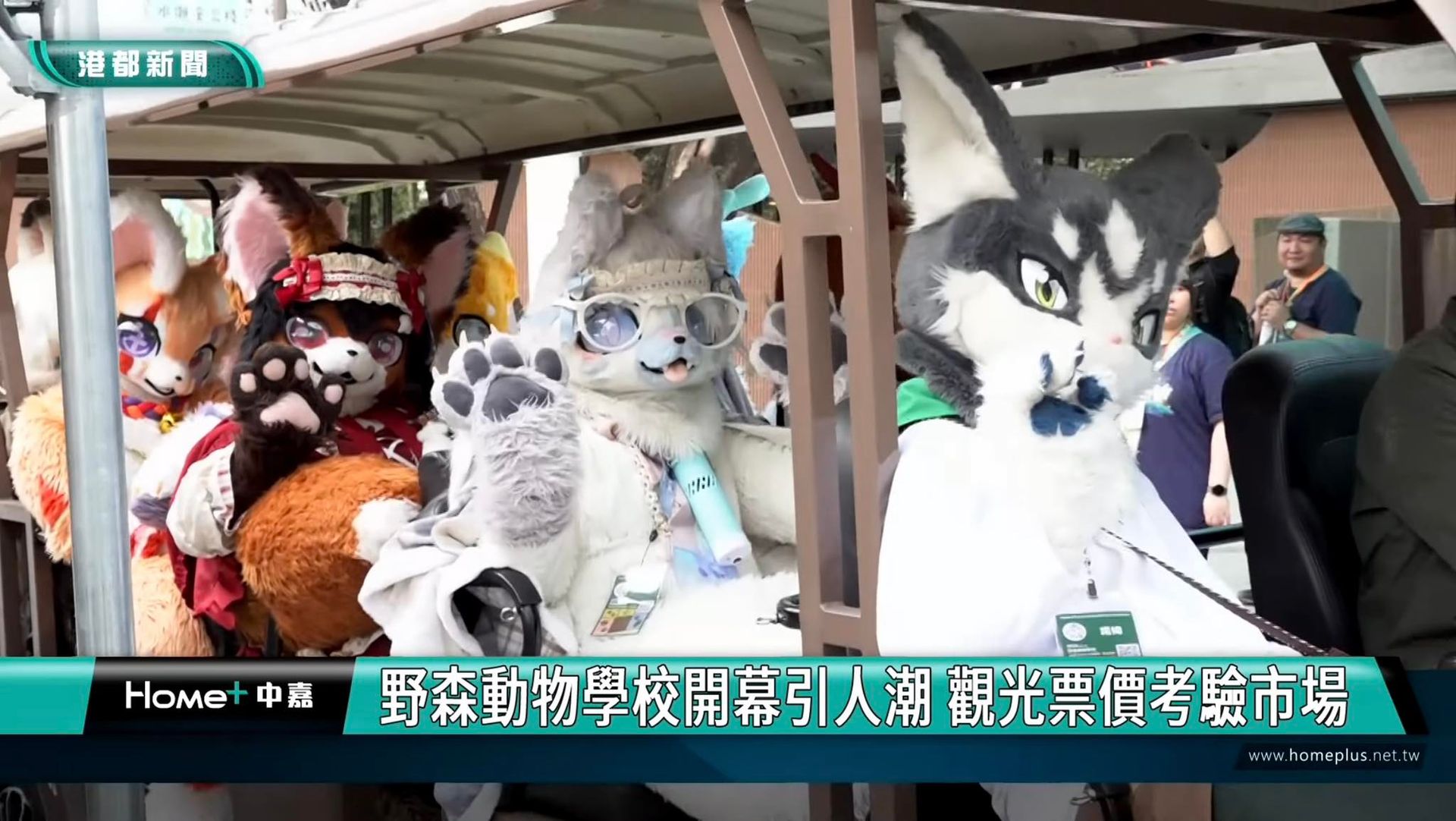 港都新聞畫面：多位獸裝參加者搭乘遊園接駁車，新聞跑馬燈寫著「野森動物學校開幕引人潮 觀光票價考驗市場」