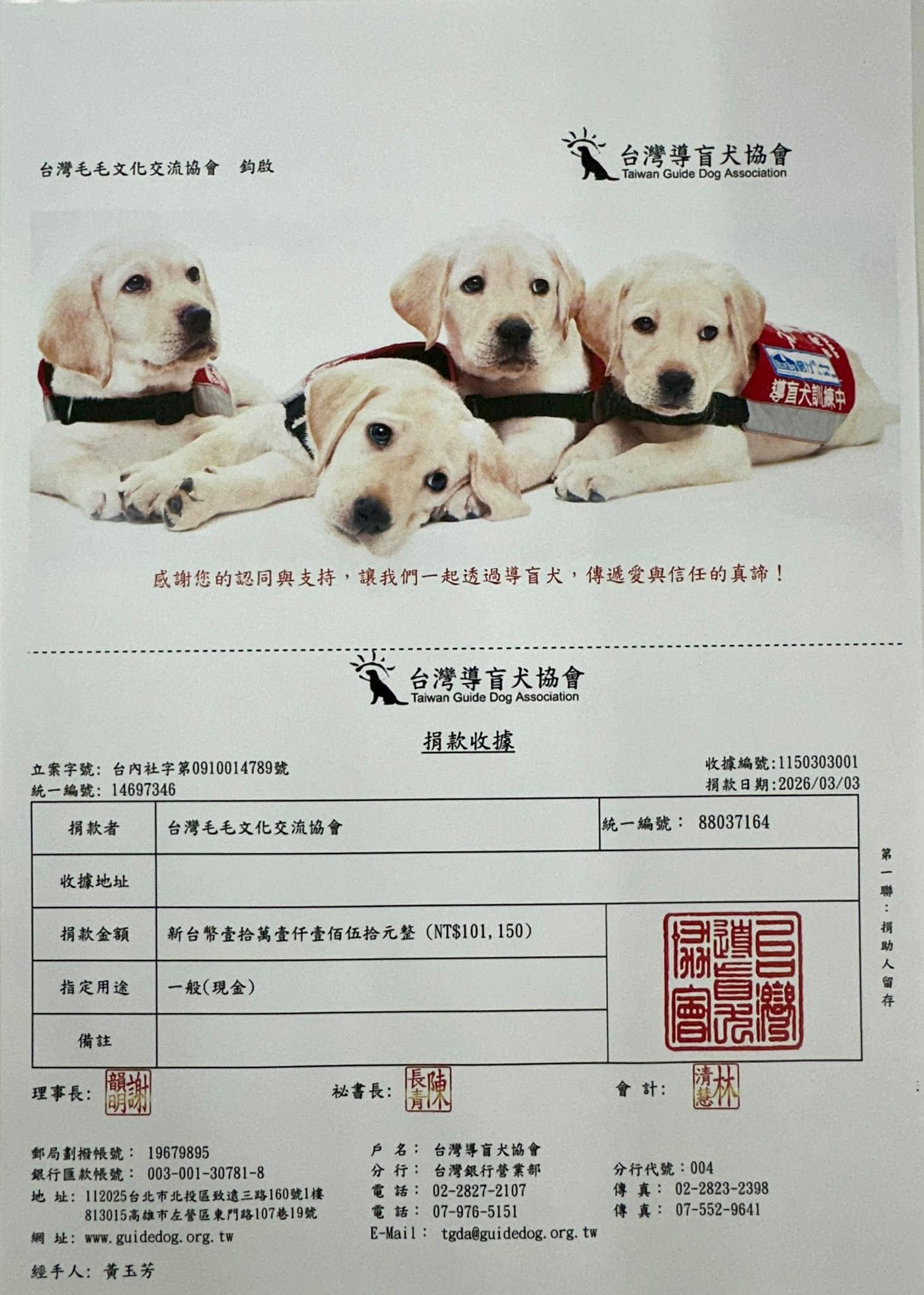 台灣導盲犬協會開立的捐款收據,金額新台幣10萬1,150元,日期2026年3月3日,收據上印有四隻穿導盲鞍具的黃色拉布拉多幼犬合照